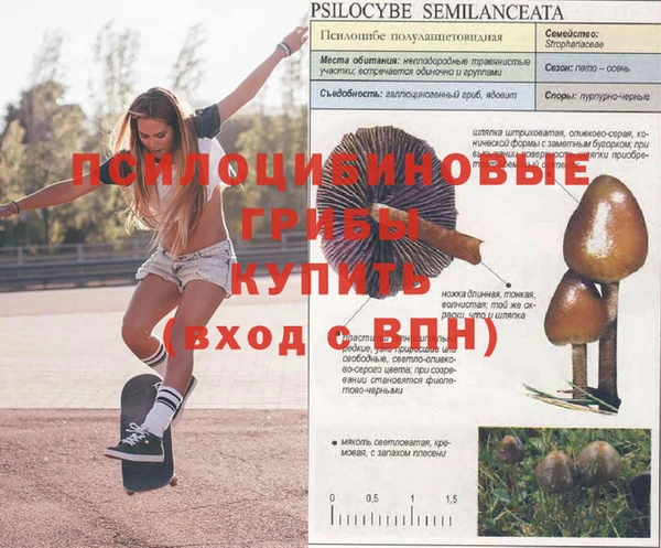 не бодяженный Верхний Тагил