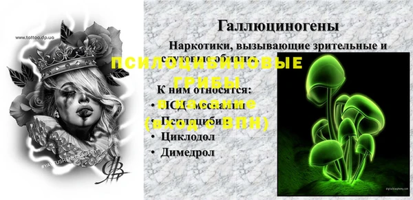 МДПВ Мегион