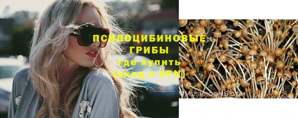 МДПВ Мегион