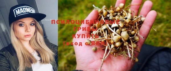 ПСИЛОЦИБИНОВЫЕ ГРИБЫ Новый Уренгой