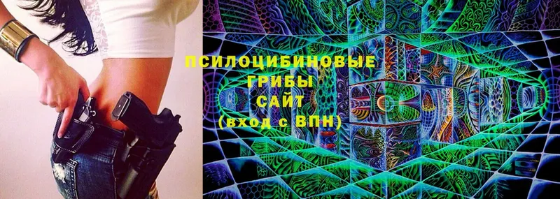 Галлюциногенные грибы Cubensis  mega   Звенигово  продажа наркотиков 