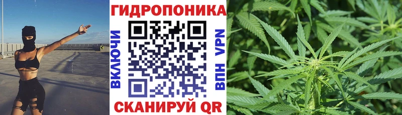 Канабис Amnesia наркотики Звенигово